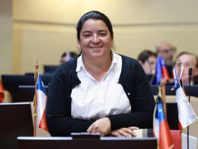 diputada natalia romero