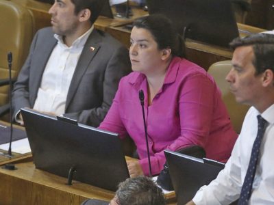 diputada romero