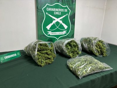 droga coltauco