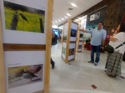 exposicion humedales