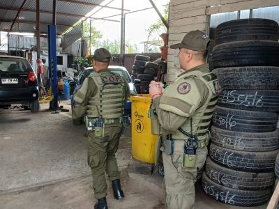 fiscalizacion 1