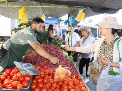 fiscalizacion ferias 1