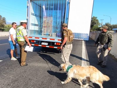 fiscalizacion mostazal