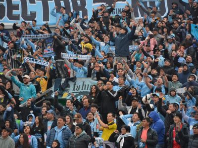 grafica 1