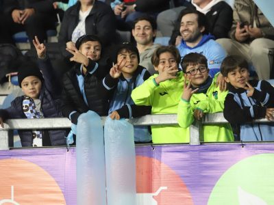 grafica hinchas 1