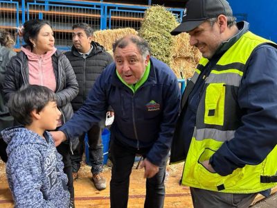 graneros coltauco