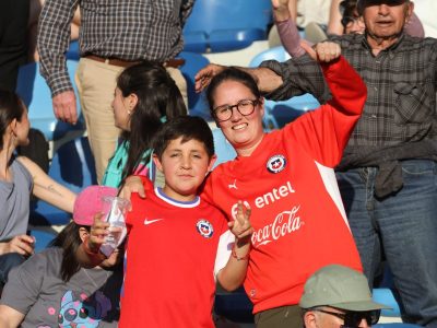 hinchas chile 1