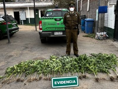 incautacion pichidegua