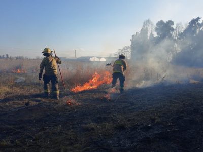 incendio forestal 1