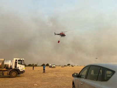 incendio forestal