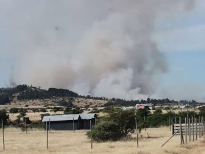 incendio-la-estrella-02