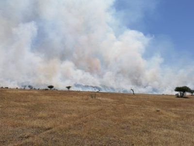 incendio la estrella