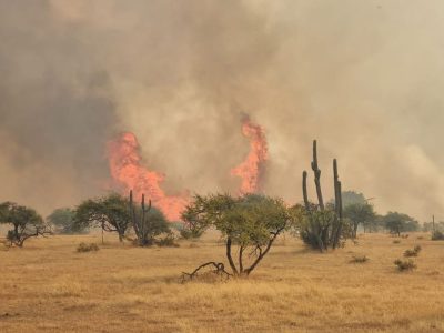 incendio la estrella