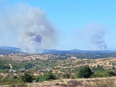 incendio litueche