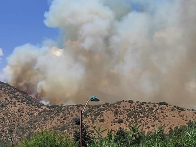 incendio mostazal