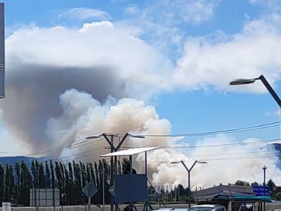 incendio mostazal