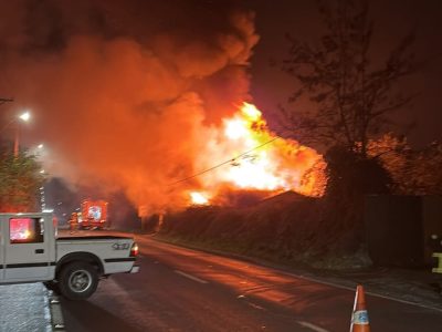 incendio olivar