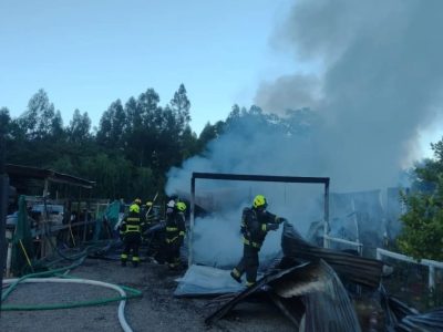 incendio palmilla