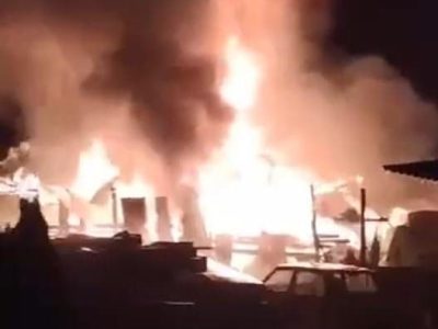 incendio peumo