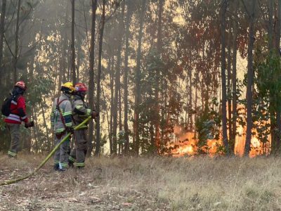 incendio pichilemu 1