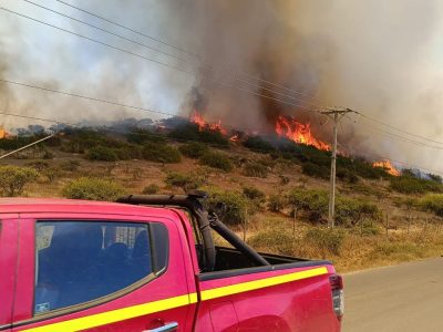 incendios forestales