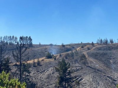 incendios forestales