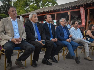 lanzamiento pichidegua 1