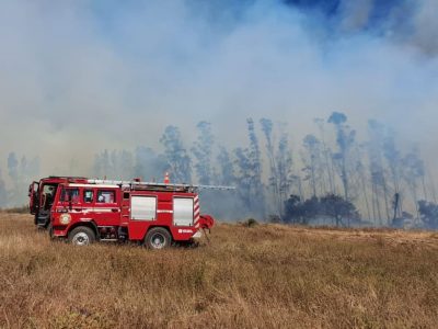 litueche incendio 1