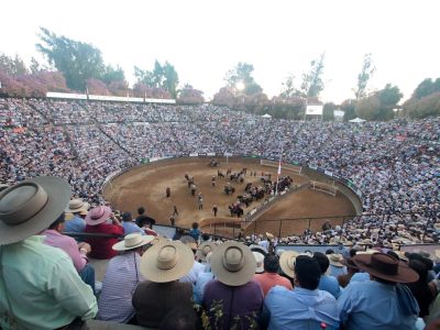 medialuna monumental 1