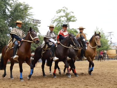 medialuna rancagua