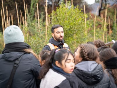 medio ambiente DET 1