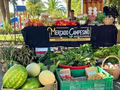 mercado-campesino-02