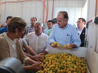 ministro en terreno