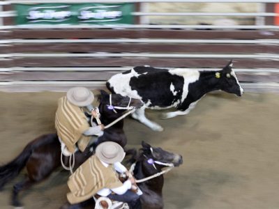 nacional de rodeo 1