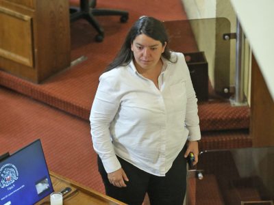natalia romero diputada