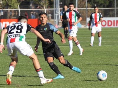 ohiggins palestino 1