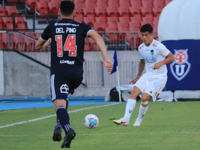 ohiggins udechile 1