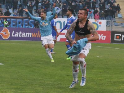 ohiggins udechile