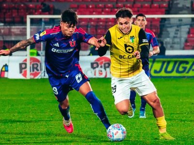 ohiggins udechile 5