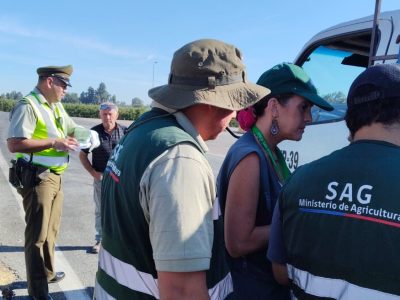 operativo colchagua