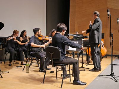orquesta profesional regional