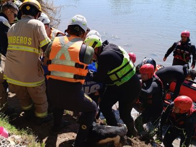 palmilla rescate 1