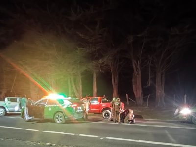 pichilemu detenido