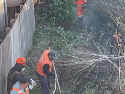 pichilemu trabajos preventivos