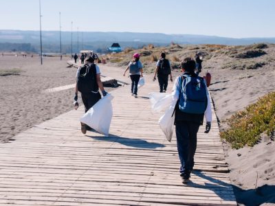 playa pichilemu 1