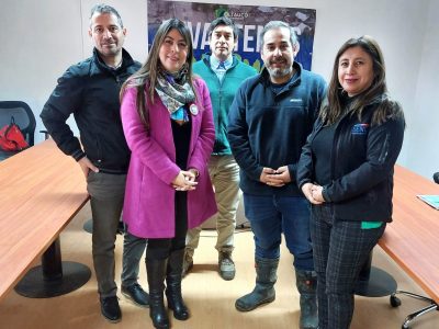 protección al empleo coltauco
