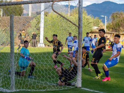 pumanque vial 1