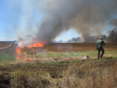 quemas agricolas 1