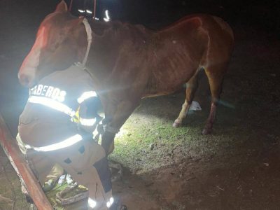 rescate pichilemu 1