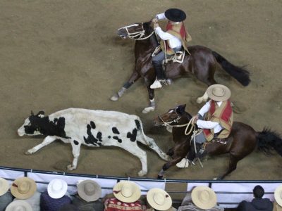 rodeo chileno
